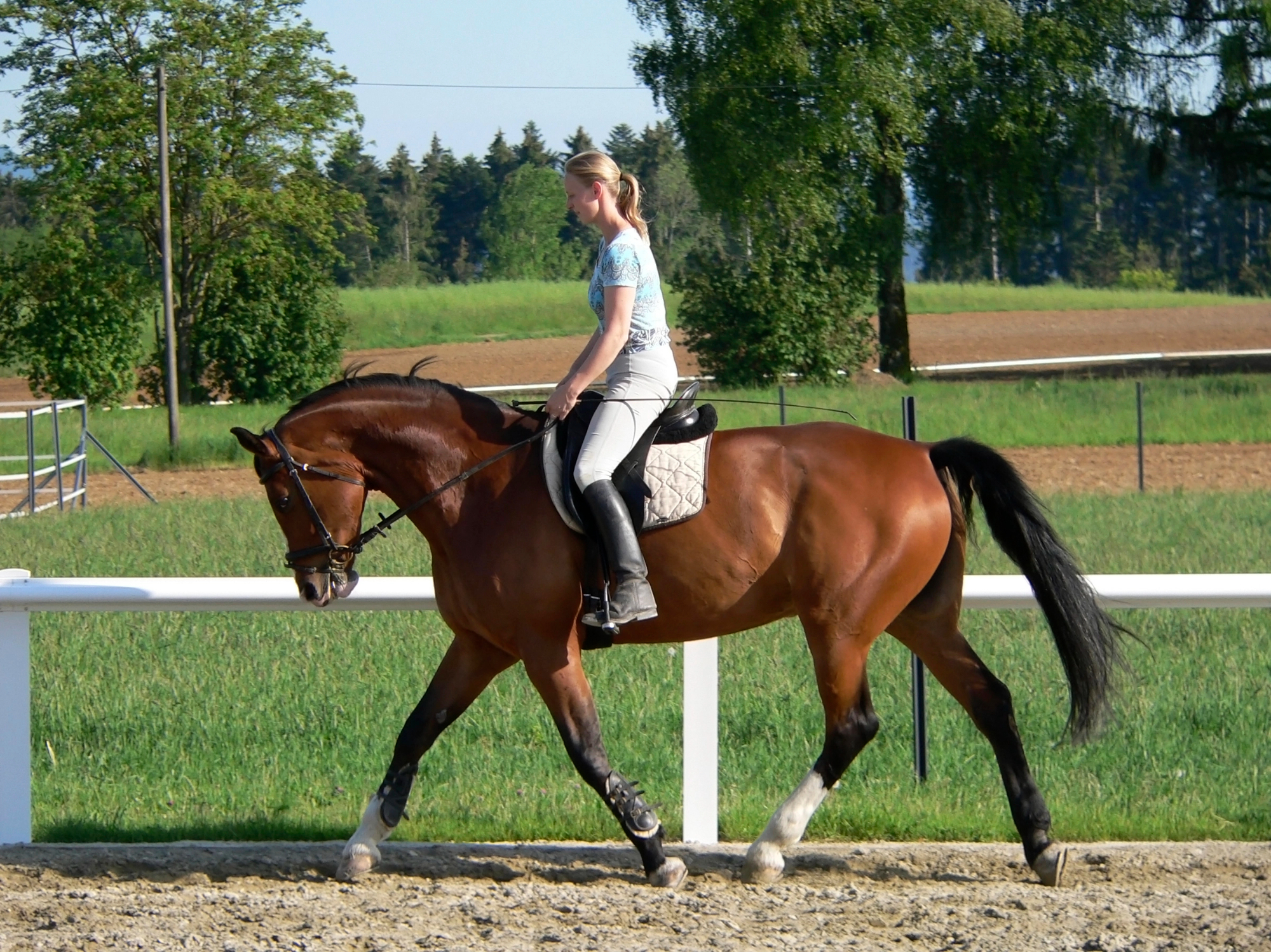 Jahanje konjev je postal moj precej ljub hobi